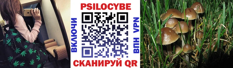 Купить закладки  Иркутск  Галлюциногенные грибы мухоморы 